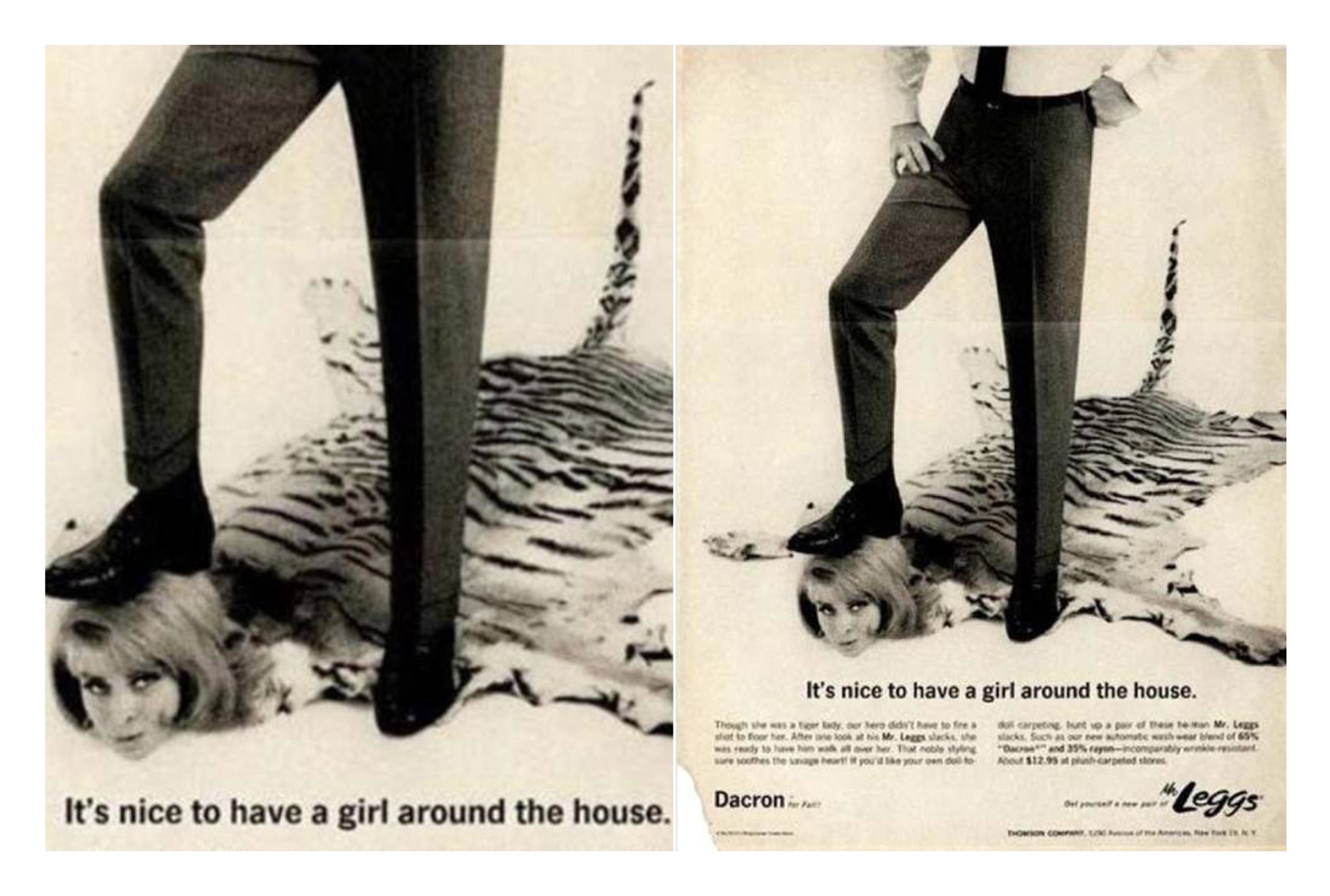 Cougar, (ré)volution, pub Asar studios sixties.jpg