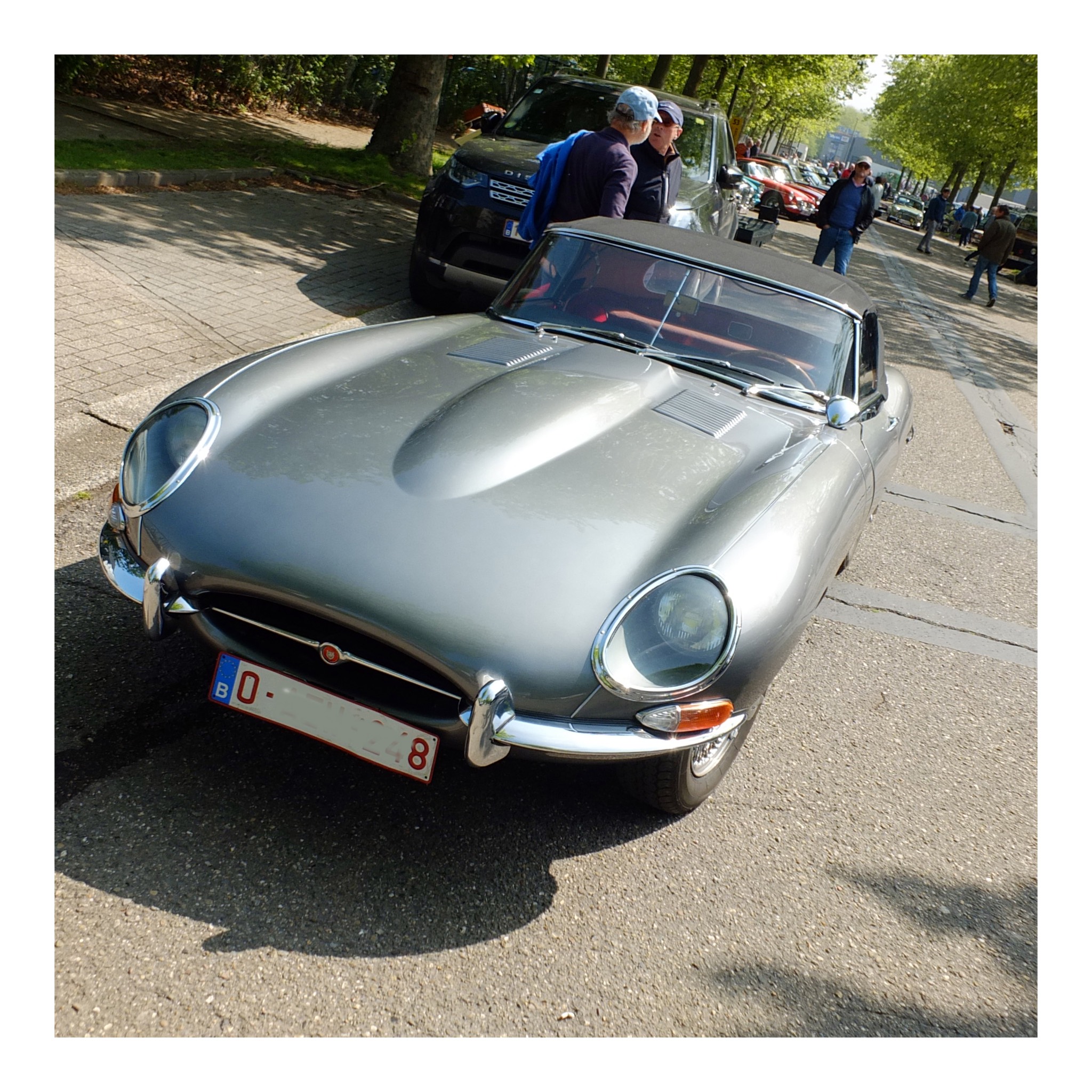 Angloparts British Cars Day 2025 04 26 6.jpg
