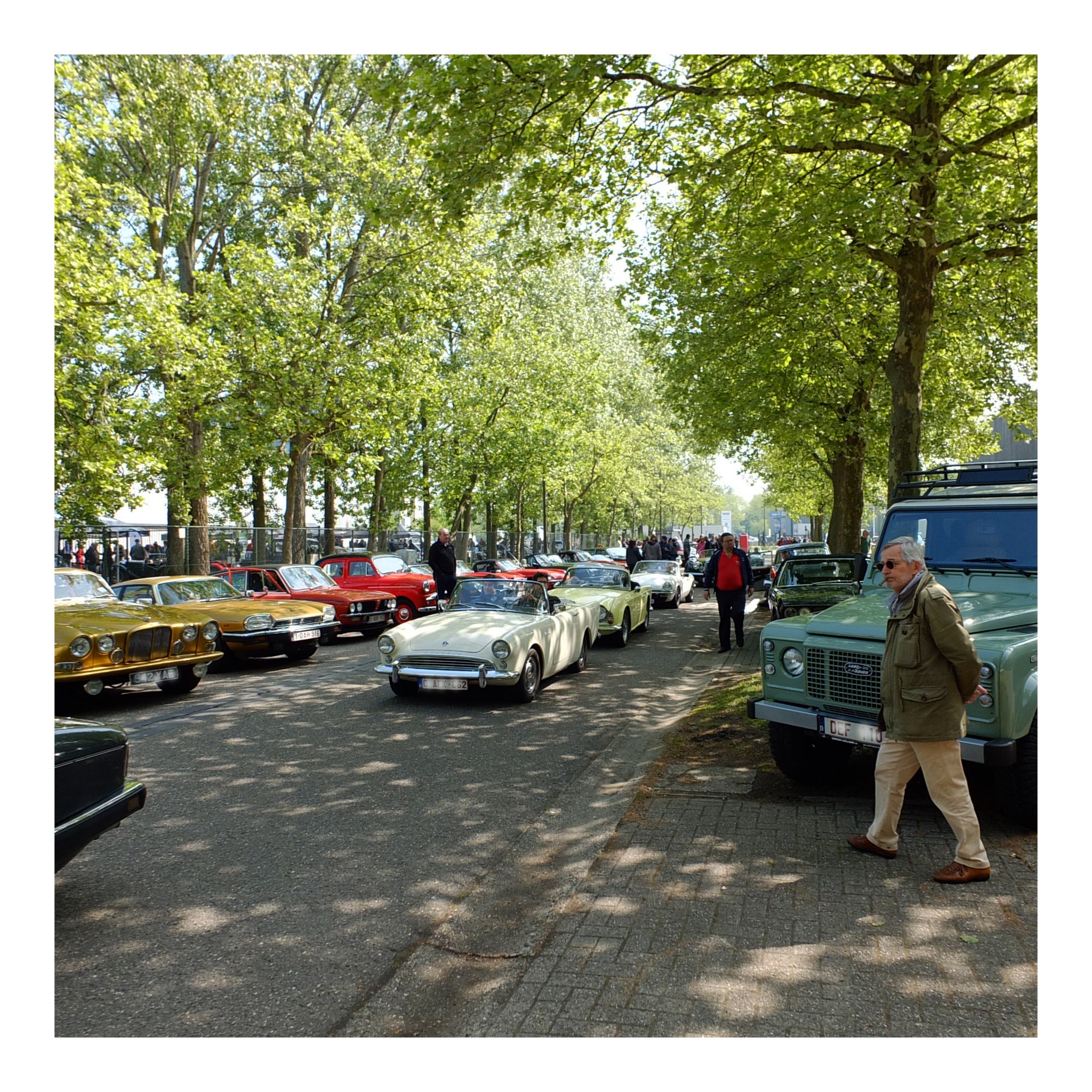 Angloparts British Cars Day 2025 04 26 21.jpg
