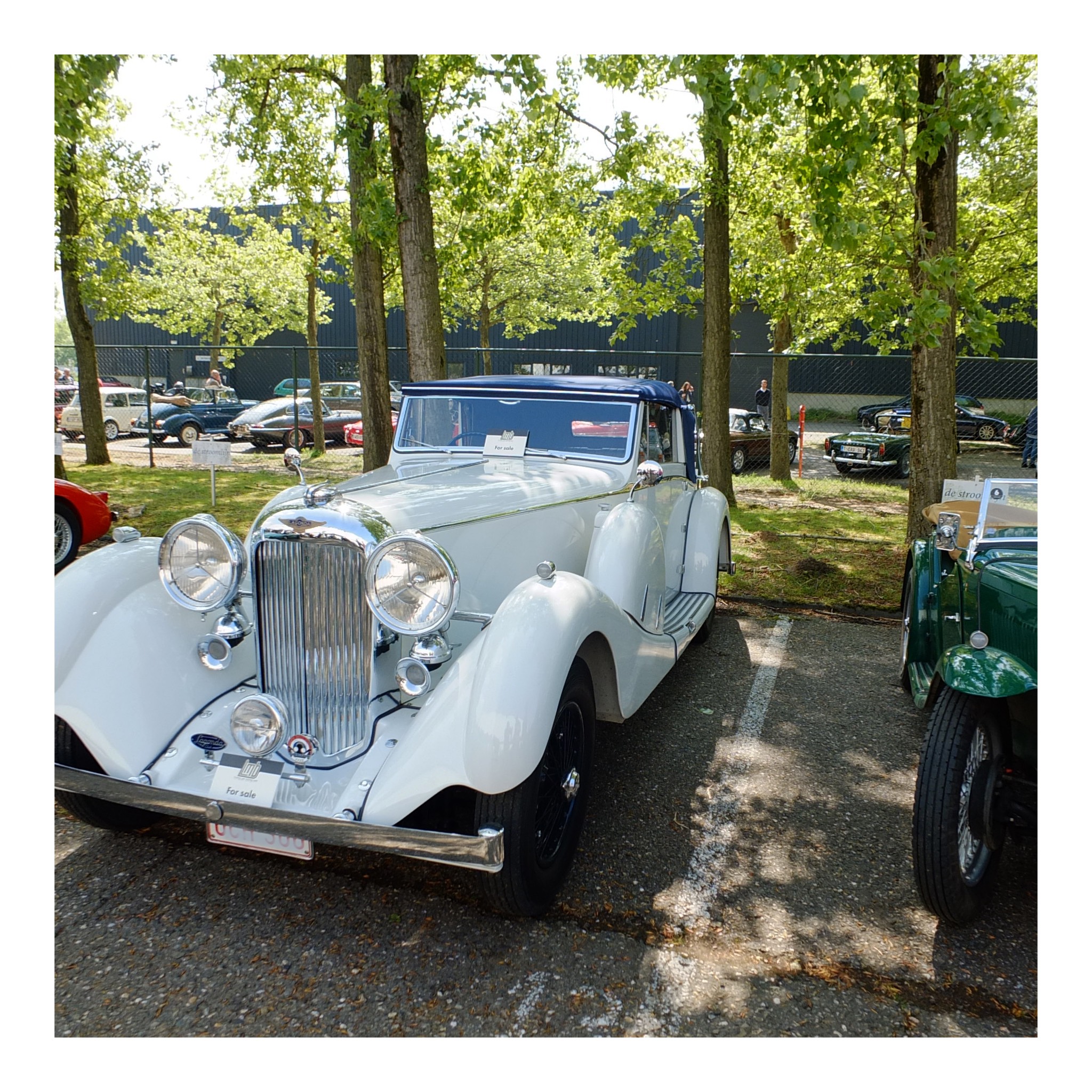 Angloparts British Cars Day 2025 04 26 62.jpg