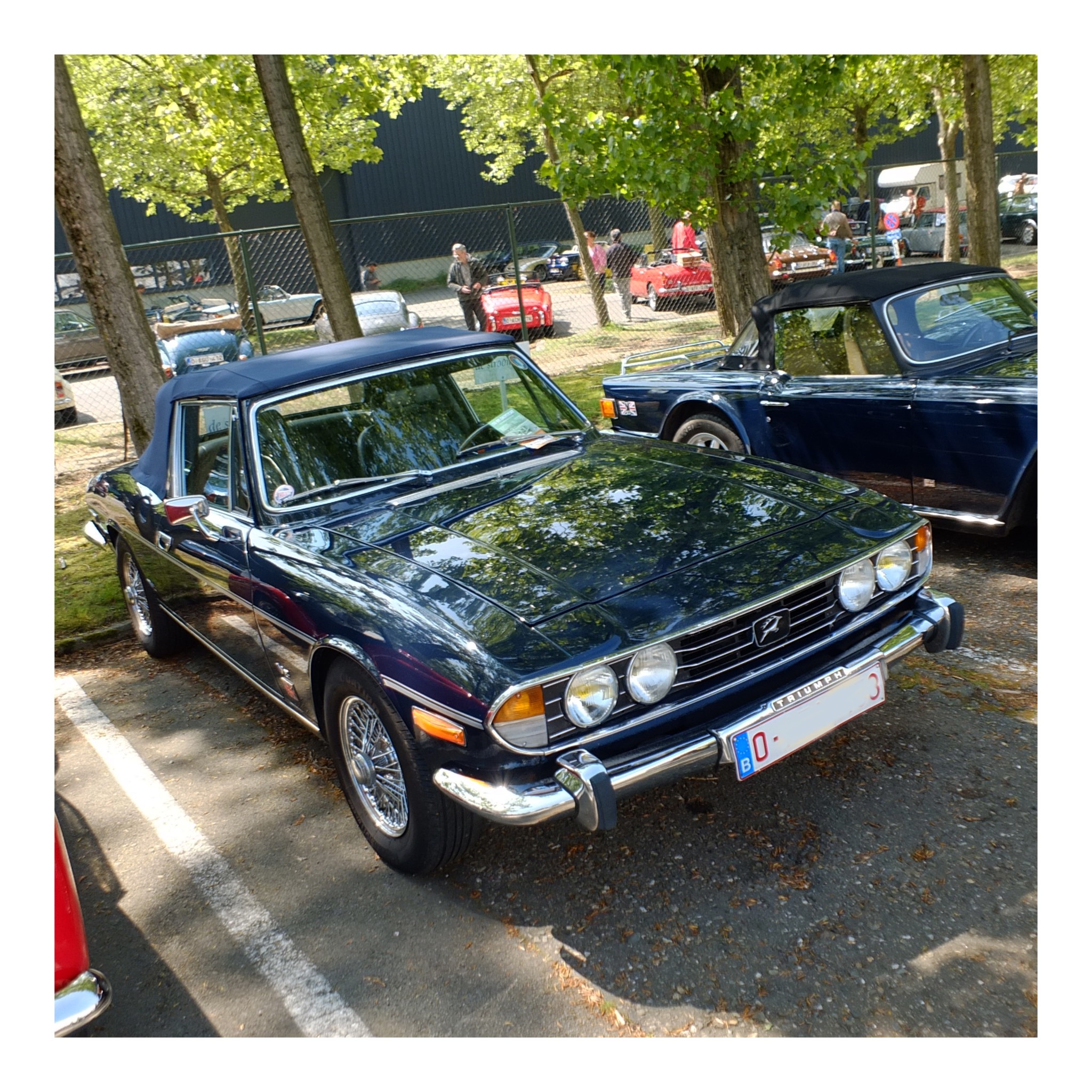 Angloparts British Cars Day 2025 04 26 100.jpg
