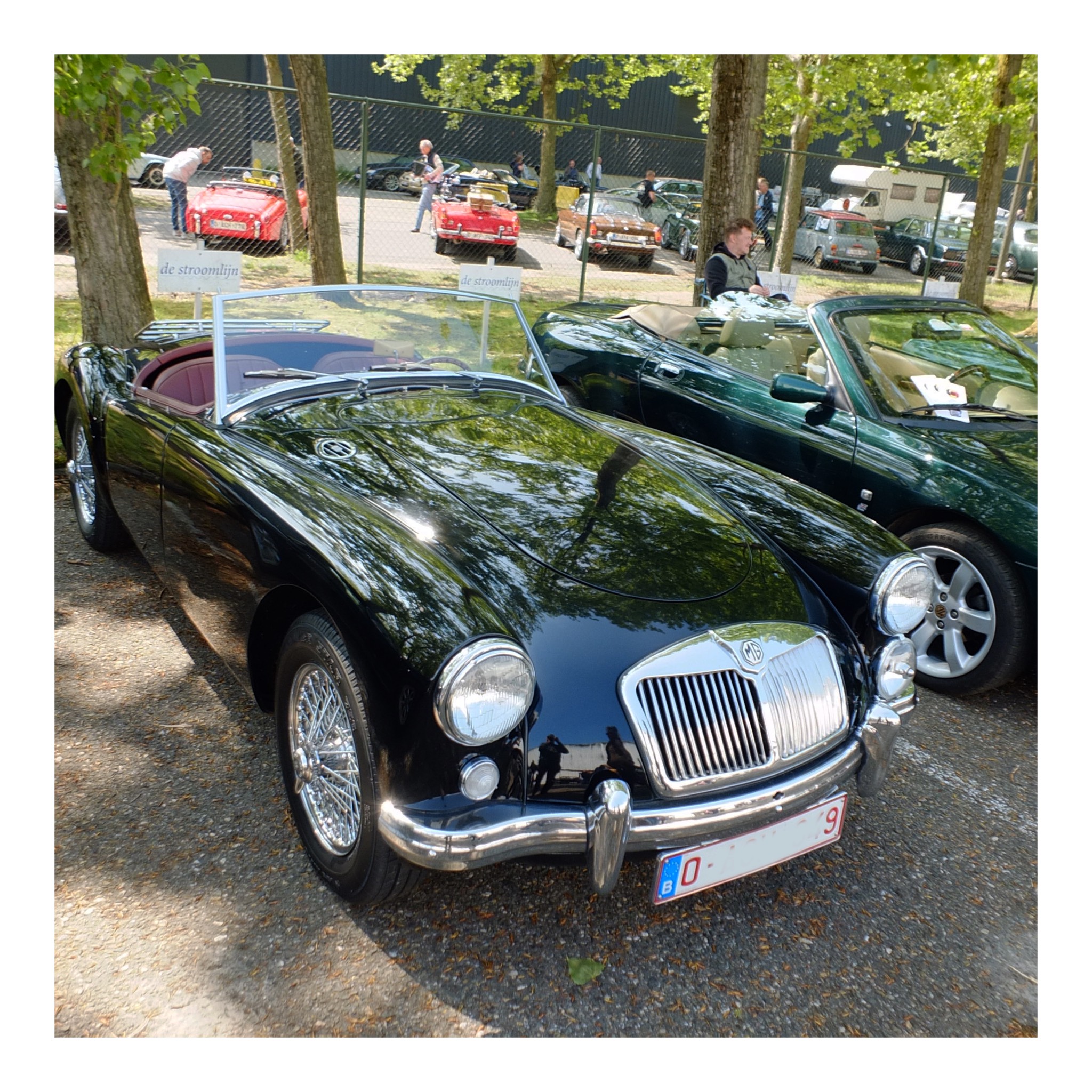 Angloparts British Cars Day 2025 04 26 104.jpg