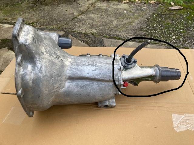 BDV morris minor-1.jpeg