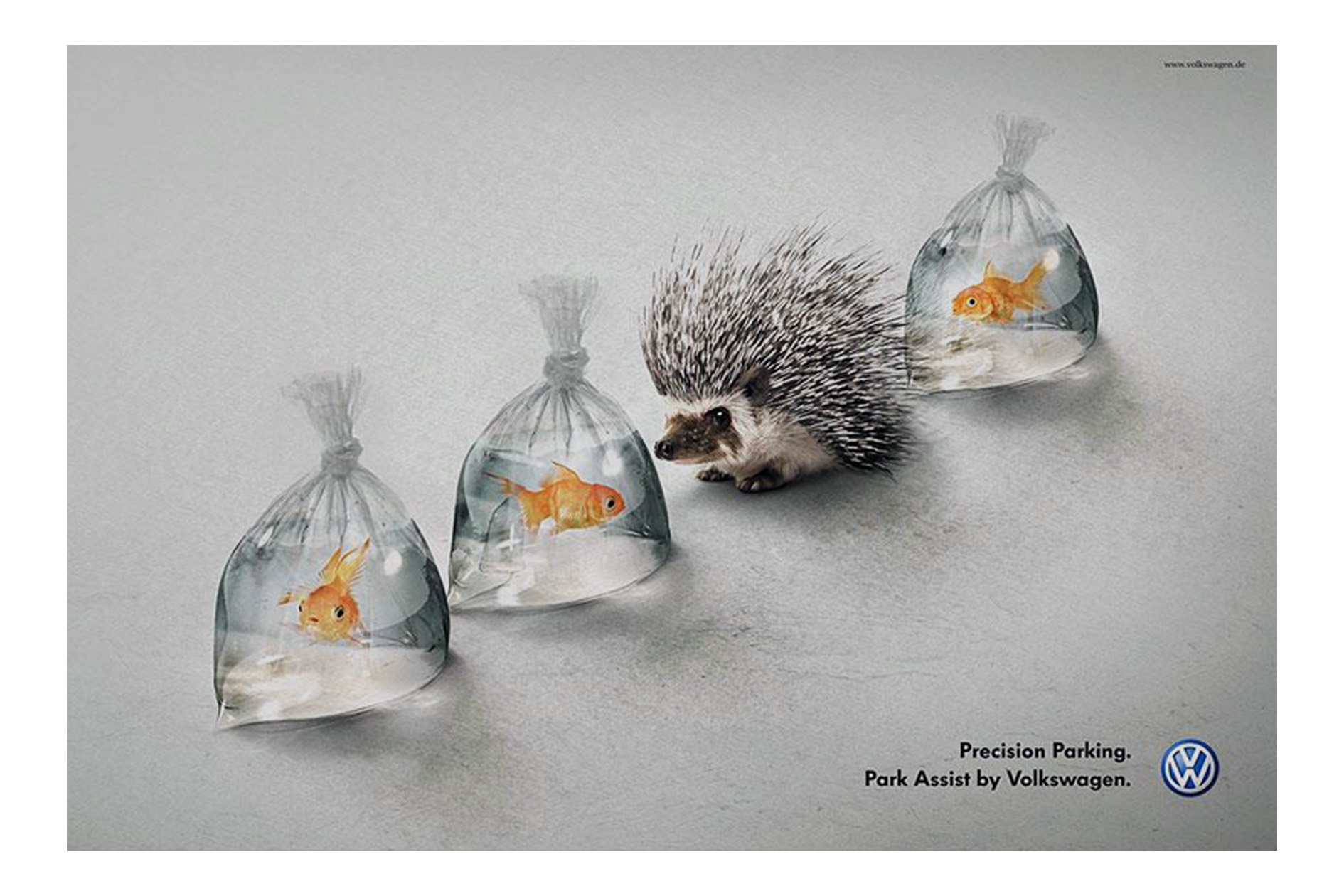 VW, parking de précision.jpg